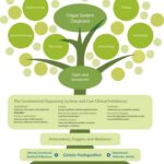 Functional Medicine