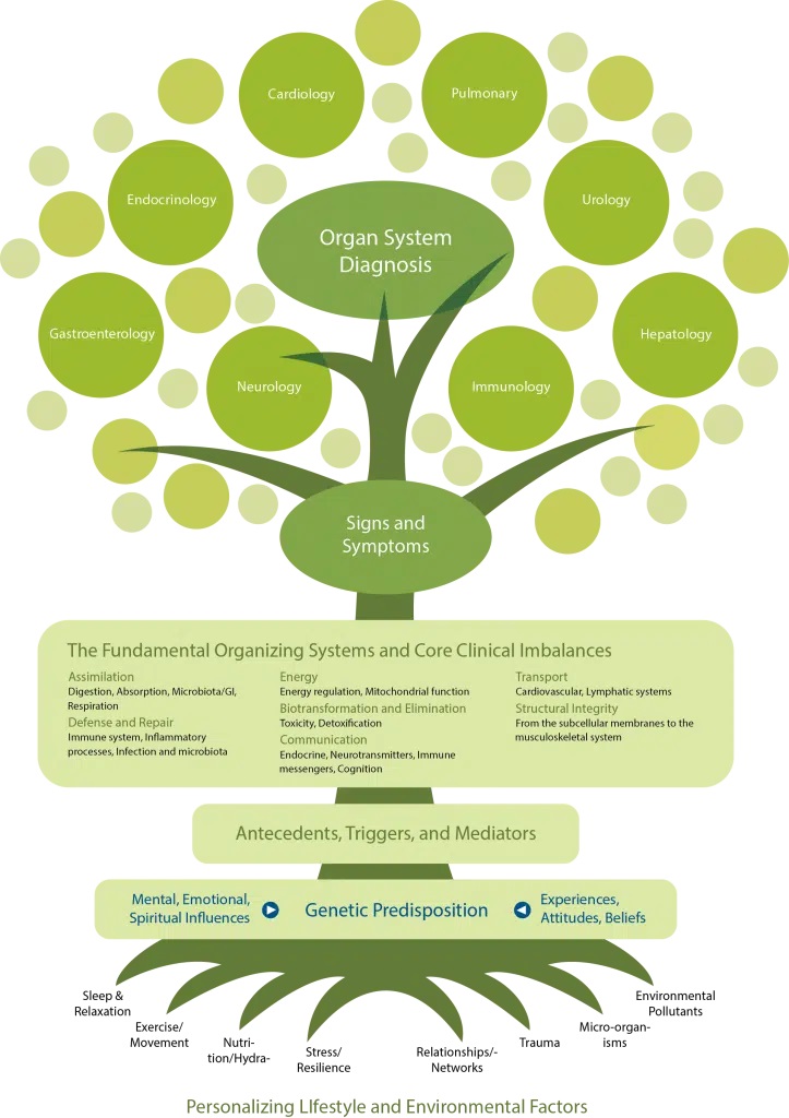 Functional Medicine